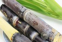 春季預(yù)防慢性咽炎方法有哪些?