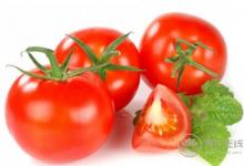 消夏要多吃苦瓜