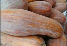 三月養護胃部健康，可常吃3種蔬菜