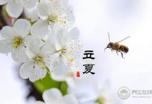 夏季養(yǎng)生的那一口果蔬“鮮味”