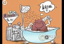 谷雨養生保健3要點：護肝、健脾、祛濕