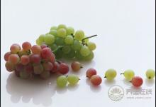 秋天吃葡萄不吐葡萄皮，護(hù)心養(yǎng)血管