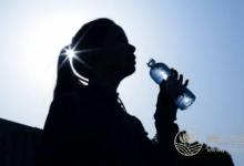 立夏需養心，推薦兩款養生安神湯