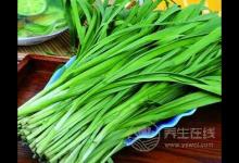 春季養生吃什么好 七種食物不可少