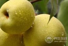 春天牙齦出血能吃什么食物?