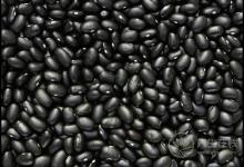 秋季掉發多，常吃這些食物，對你的頭發有幫助