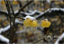 倒春寒是什么意思？倒春寒要注意什么？