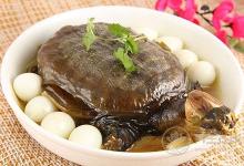 清燉甲魚湯的做法  讓身體溫暖整個(gè)冬天