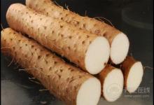 秋季濕氣重，這幾種食物多吃，能幫助排出濕氣