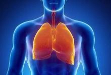 夏天是“養肺黃金期”，做到這4招，一年不得肺病！