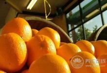 大雪節(jié)氣吃什么食物好