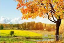 幾種秋季最容易患的疾病