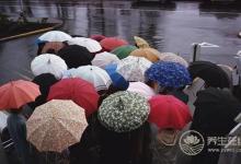 夏天多雨濕氣重怎么辦？教你快速祛濕法