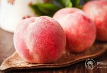 秋季養生水果有哪些？一些平價水果效果就不錯