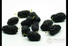 夏季吃什么好？推薦5種養生保健的食材！