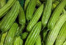 秋冬不生病，立秋多吃4種祛濕蔬菜