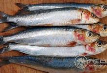 春天的天氣像后媽的心！預防感冒就吃這些食物