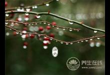 雨水養生：嗑多瓜子、春燥，上火怎么辦