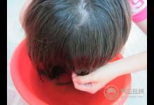 秋季愛脫發？用桑葉水洗頭可防治脫發