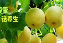 驚蟄 | 春雷響，萬物長！養生飲食要注意！