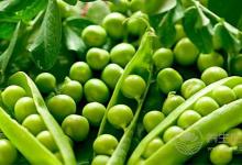 “仲夏，養生良機”之肉補篇