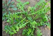 春季養生小常識 懶人養生必學七大招