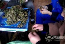 立夏至，養生“增減”需適宜