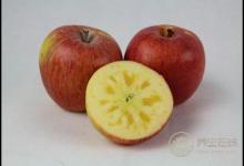 春天多吃這4種果蔬，對眼睛好，能緩解眼睛視疲勞