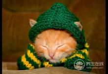 初秋養生要注意給4個部位保暖