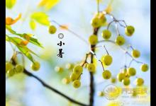 2019年什么時(shí)候小暑 小暑時(shí)間幾點(diǎn)幾分