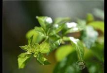 春季養生需謹慎！這5個誤區一定要了解