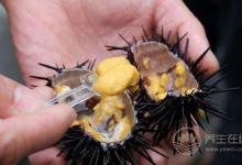 給你1份詳細(xì)的“海鮮年歷”，讓你吃到最時令的海鮮