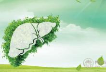 春季養生，重在調肝健脾固表