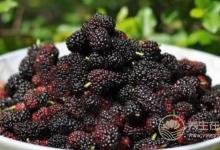 男人春季腎虛，沒關系，三種水果恢復戰斗力