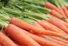 貼秋膘，又到吃羊肉好時(shí)節(jié)！燉涮炒烤各有功效