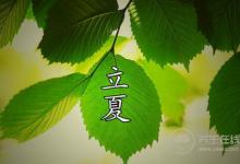 立夏養生：晚睡+早起+午休更健康