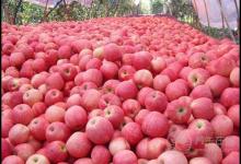 秋天做到這些可保證寶寶少生病