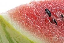 夏天做個吃瓜群眾的9個好處