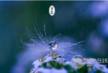 清明養生需注意“六不”，您做對了嗎？