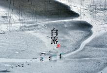 2018白露時(shí)間_白露是什么時(shí)候_吃什么養(yǎng)生_白露習(xí)俗