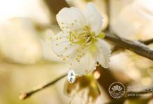 2018年立春具體時間？2018年立春是幾月幾號星期幾？