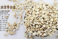 夏季會吃薏仁更養(yǎng)生，推薦幾種健康吃法