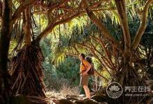 白露前后蛇出沒，如何預(yù)防被蛇咬