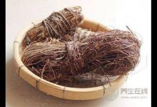 春夏潮濕季，保肝護肝用雞骨草煲湯