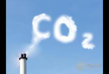 蚊子為什么偏偏喜歡咬你