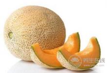  秋季皮膚如何保濕？秋季補水誤區要注意