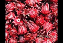 春季健康養生！排毒養肝適合喝這2杯