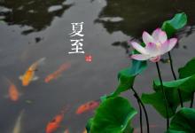 2018夏至?xí)r間_夏至是什么時(shí)候_吃什么養(yǎng)生_夏至習(xí)俗