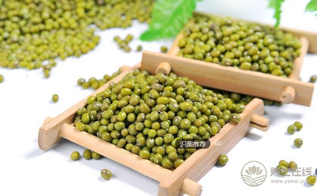 夏日8大消腫利濕食物