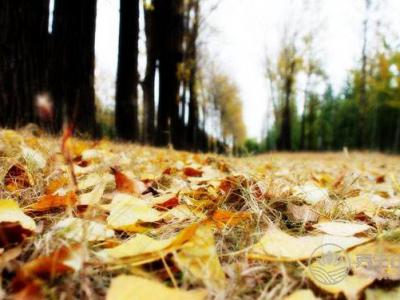 夏不防暑，秋易高燒